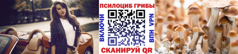 Галлюциногенные грибы прущие грибы  купить  сайты  МЕГА рабочий сайт  Качканар 